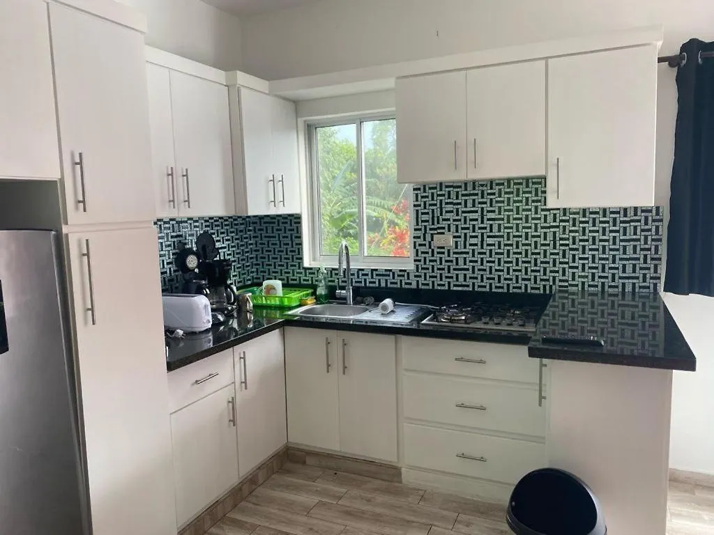 Vasquez Apartamentos La Pina Apartment